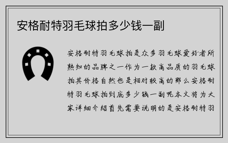 安格耐特羽毛球拍多少钱一副