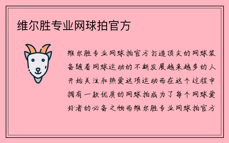 维尔胜专业网球拍官方