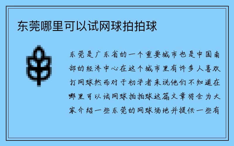 东莞哪里可以试网球拍拍球