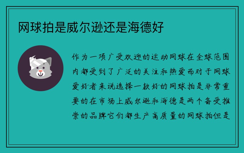 网球拍是威尔逊还是海德好